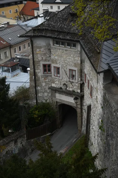 DSC_7025 (Large).JPG